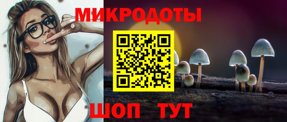 Псилоцибиновые грибы прущие грибы  Вход с VPN  Вышний Волочёк  Псилоцибиновые грибы прущие грибы 